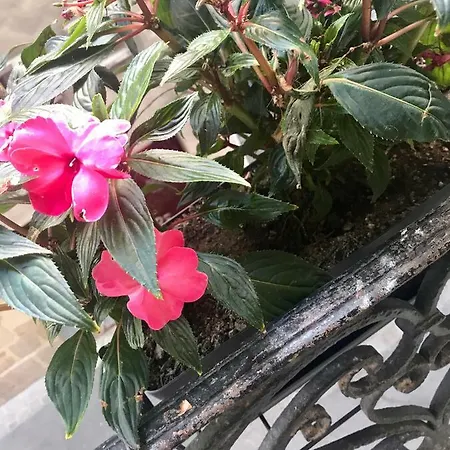 Magnifiques Hyper Centre