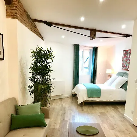Apartamento Magnifiques Hyper Centre