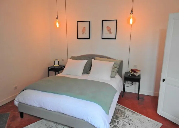 Apartment Magnifiques Hyper Centre Nantes