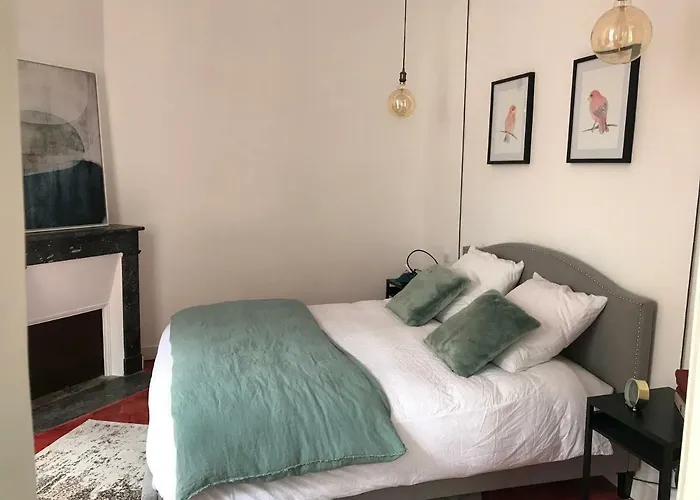 Magnifiques Hyper Centre Apartment