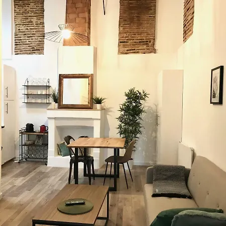 Magnifiques Hyper Centre * Nantes