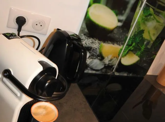 Magnifiques Hyper Centre Lejlighed