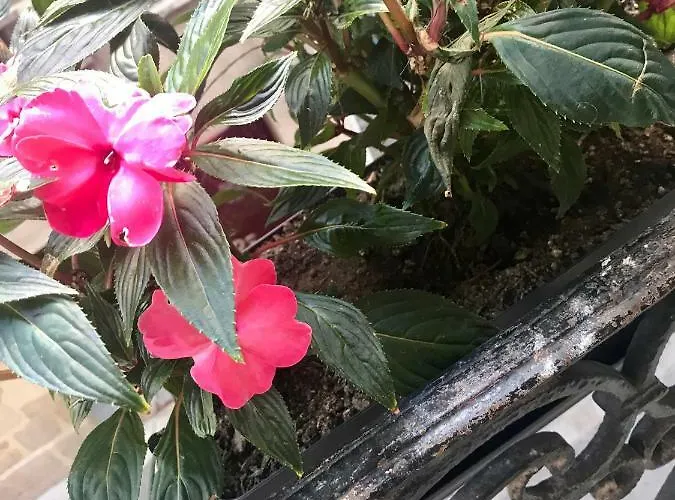 Magnifiques Hyper Centre